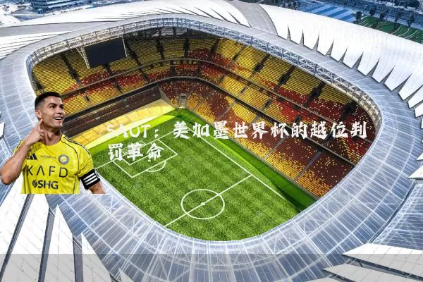SAOT:美加墨世界杯的越位判罚革命